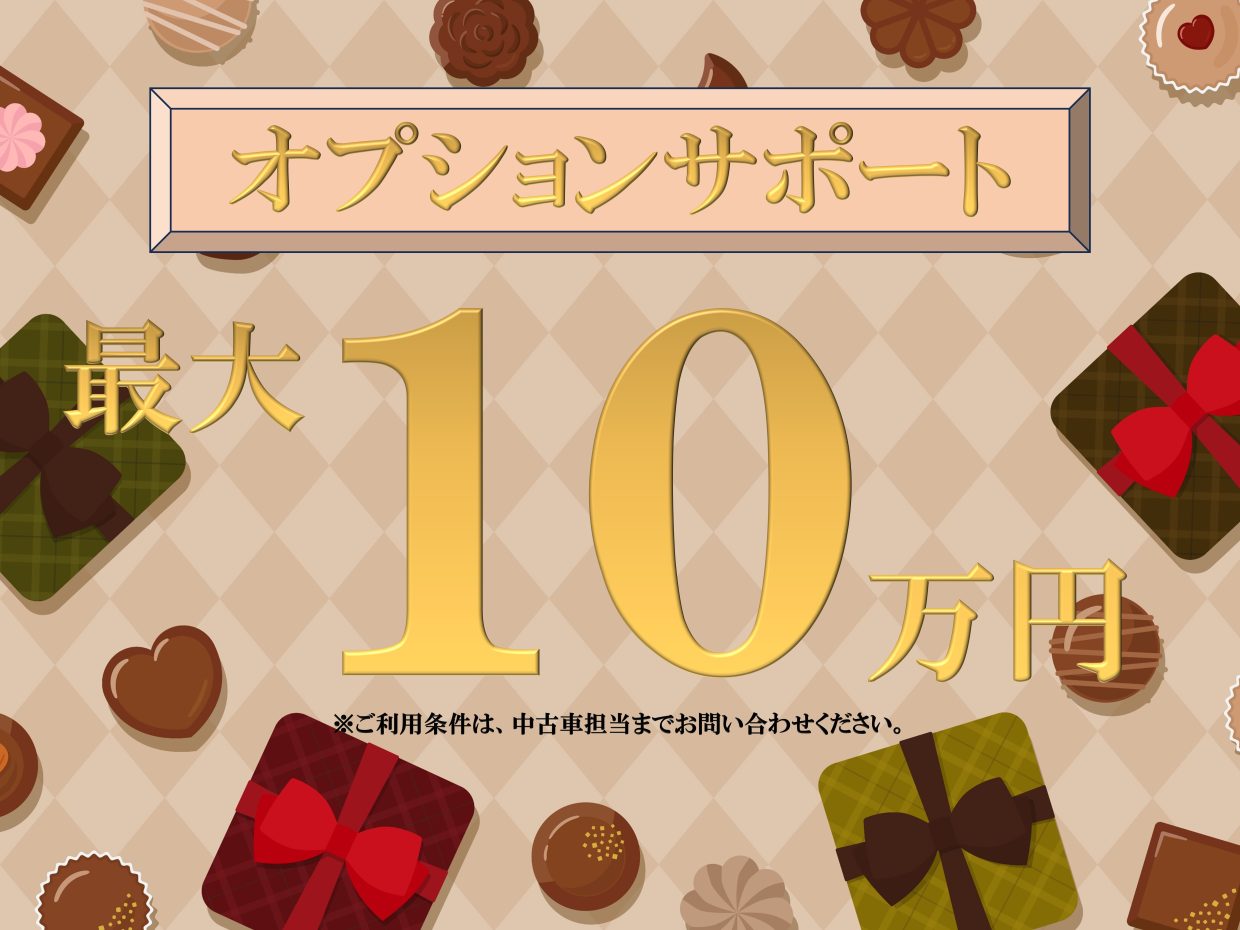 ☆オプション最大１０万円サポート☆