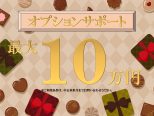 ☆オプション最大１０万円サポート☆